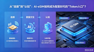 ai-esim-token-entry-guide